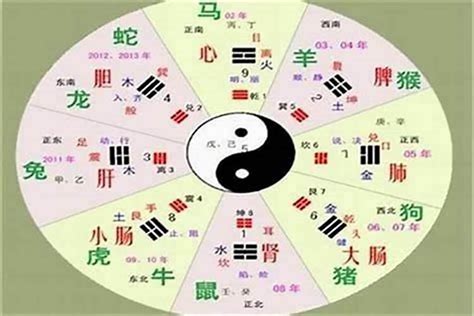 褀五行|淏字的五行属性